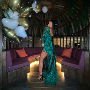 The Peacock Birthday Dress